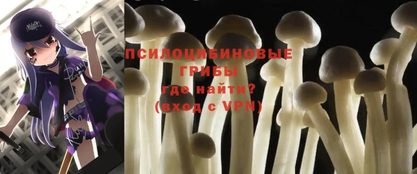 метадон Каменка