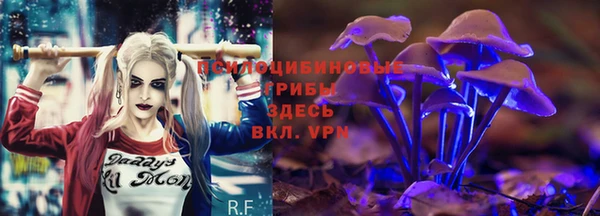 каннабис Касимов